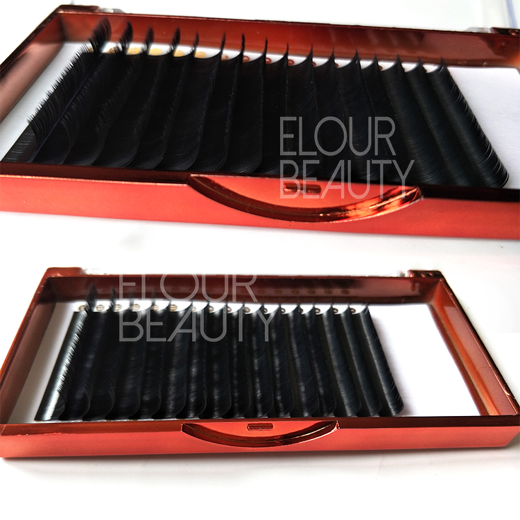 Private lable matte ellipse flat eyelash extensions suppliers China  ED83